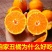 【一件代发】正宗四川丑橘不知火爆甜新鲜应季水果批发