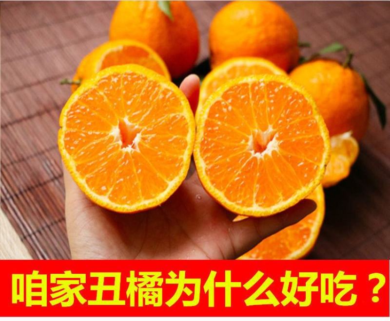 【一件代发】正宗四川丑橘不知火爆甜新鲜应季水果批发