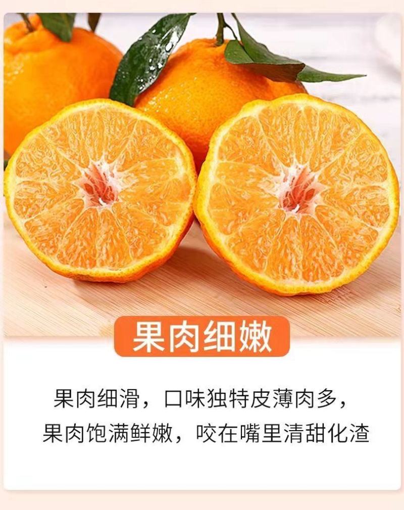 【一件代发】正宗四川丑橘不知火爆甜新鲜应季水果批发