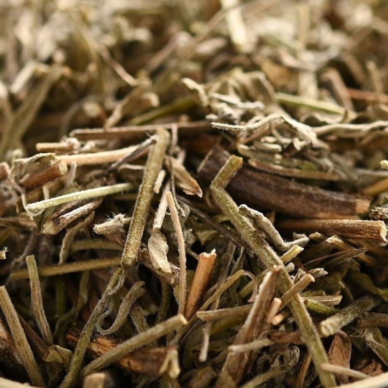 香薷无硫中草药干净无杂中药材大全