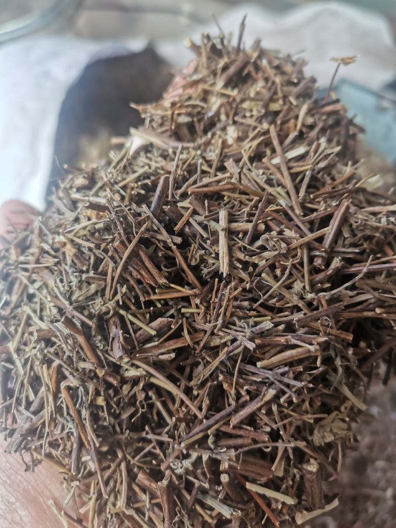 香薷无硫中草药干净无杂中药材大全
