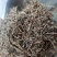 香薷无硫中草药干净无杂中药材大全