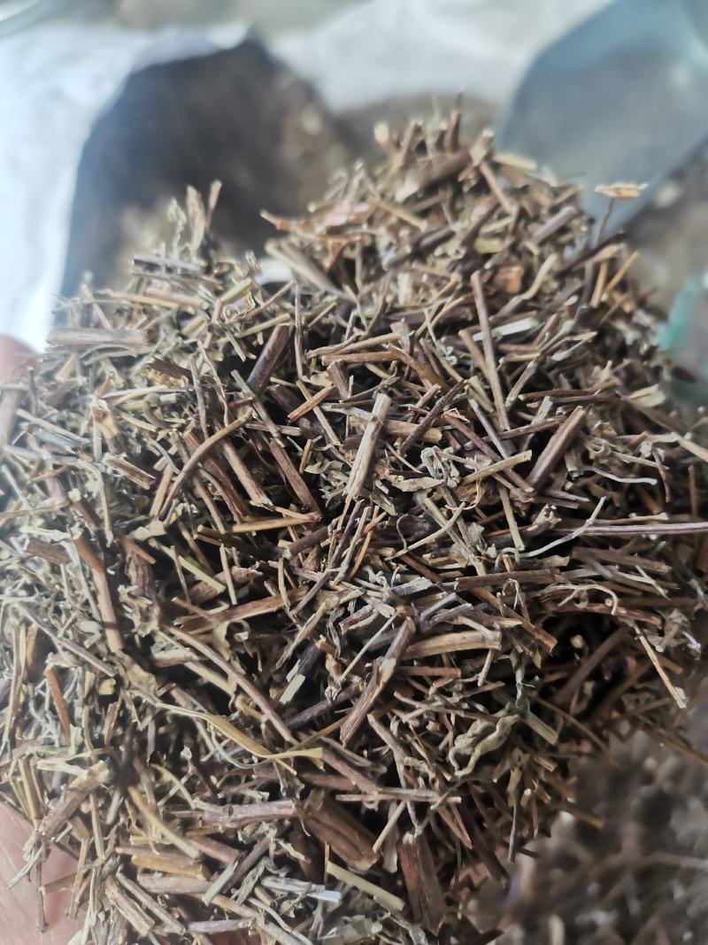 香薷无硫中草药干净无杂中药材大全