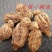 中药材无添加新货头顶一颗珠延龄草芋儿七狮儿七包邮