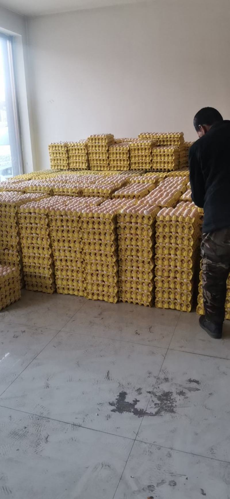 双色粉壳土鸡蛋草鸡蛋黑凤蛋笨鸡蛋双色