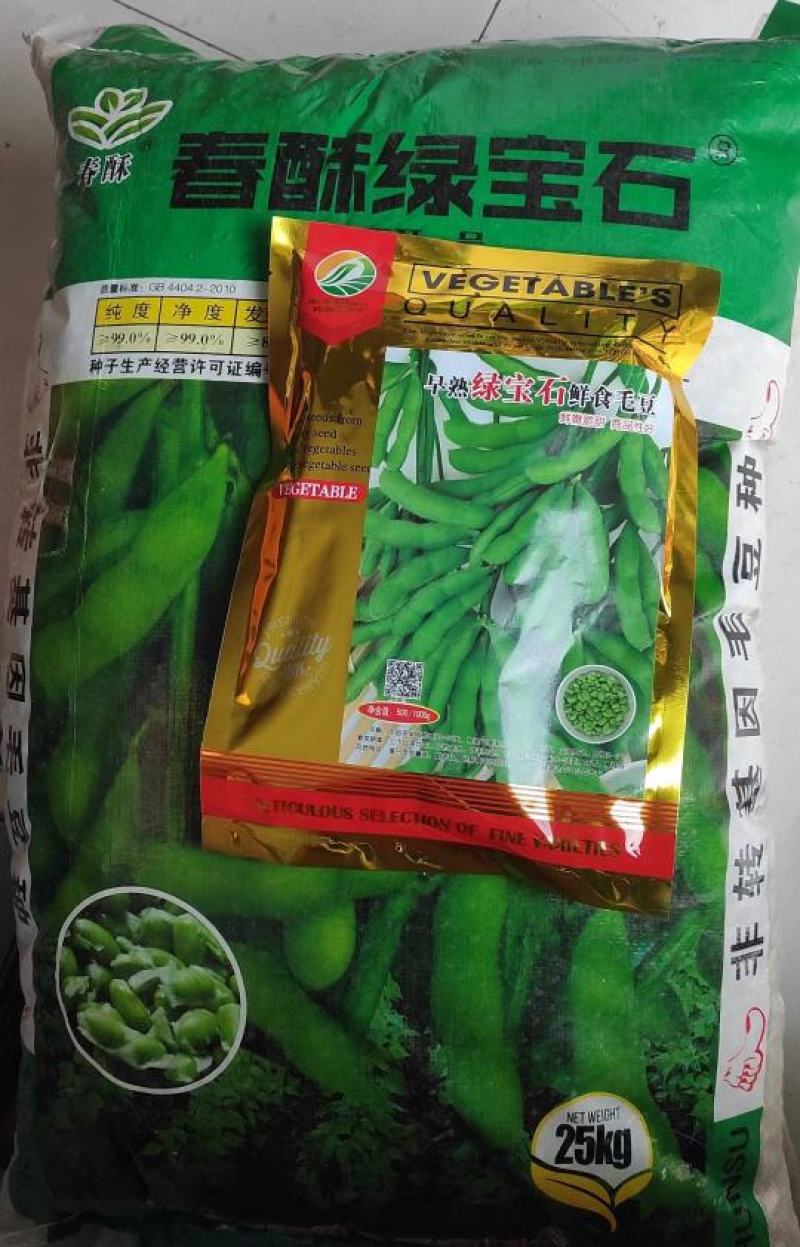 鲜食毛豆种子一斤装品质好早熟性好结荚多