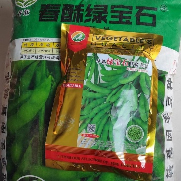 鲜食毛豆种子一斤装品质好早熟性好结荚多
