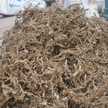 石菖蒲，取自自然环境，自然风干，干净无杂质