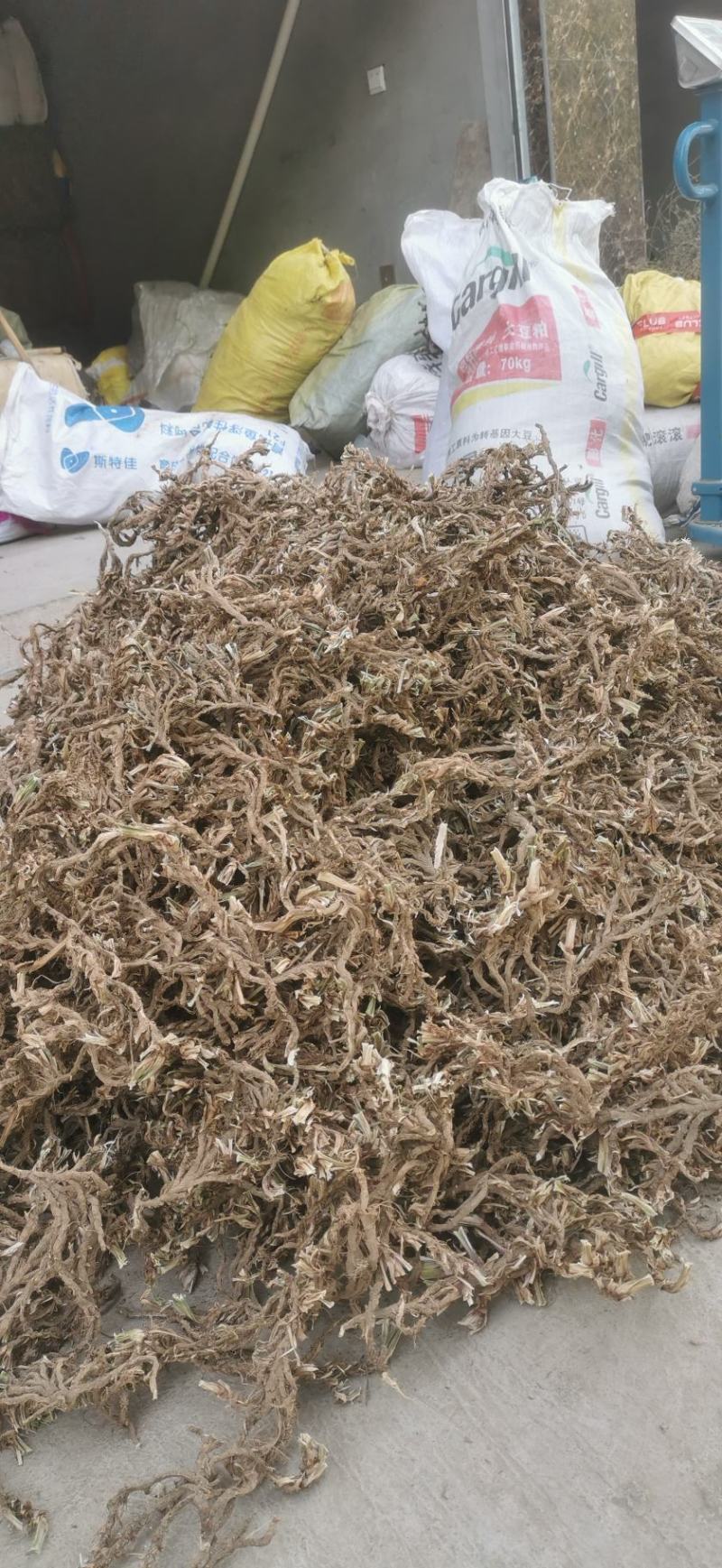 石菖蒲，取自自然环境，自然风干，干净无杂质