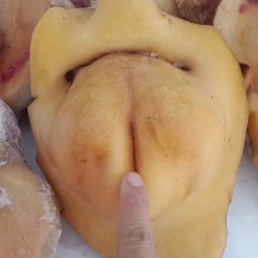牛欢喜