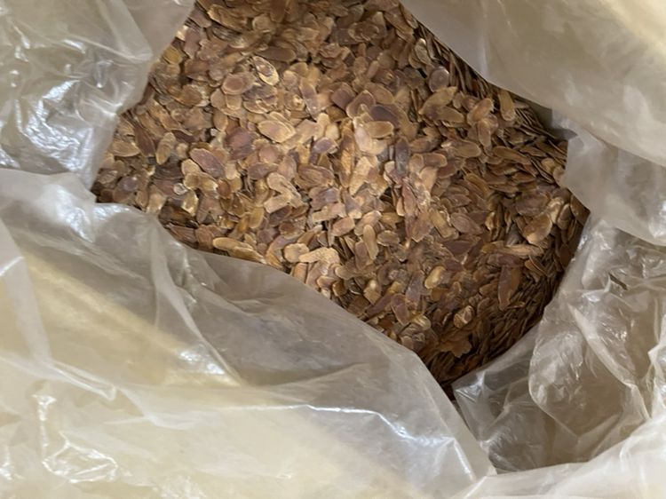 女性食用红参与人参注意事项