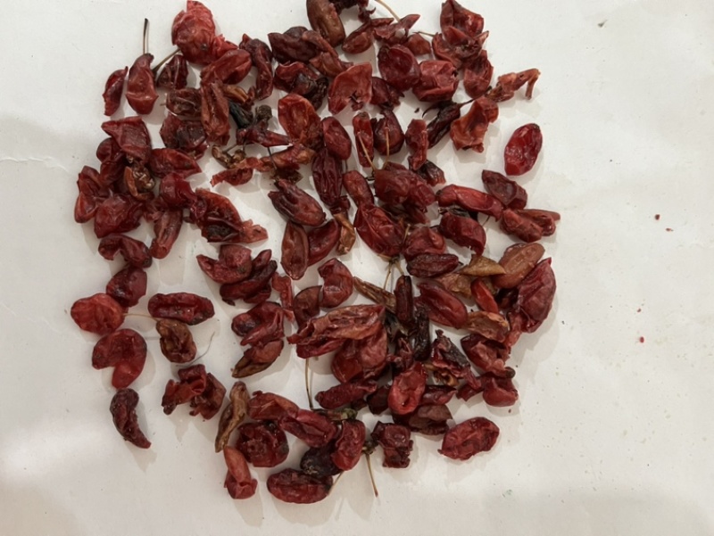 特级山茱萸高品质无硫新货温助肾阳泡酒料产地直销