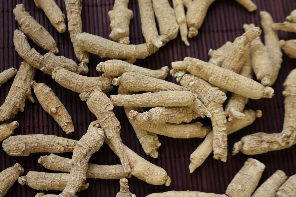 一张放大10倍的西洋参横切片照片,显示内部组织结构:中心为木质部,呈放射状菊花心图案;外围为韧皮部,分布着多个树脂道(亮点);整体颜色为淡黄色至浅棕色,纹理清晰均匀,无霉斑或裂隙;旁边附有一张小型HPLC色谱图插图,标示出主要皂苷峰Rb1、Re、Rg1的位置 西洋参切片显微结构示意图