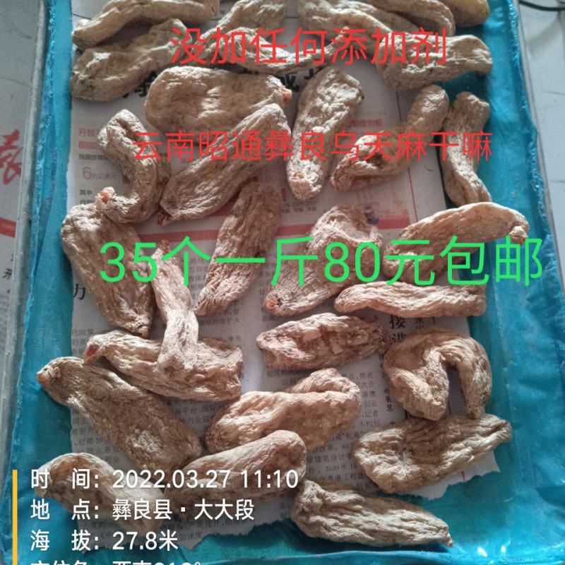 云南昭通彝良小草坝仿野生乌天麻干天麻，自产自销，坏果包赔