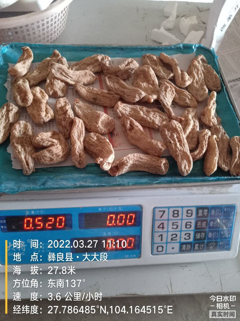 云南昭通彝良小草坝仿野生乌天麻干天麻，自产自销，坏果包赔