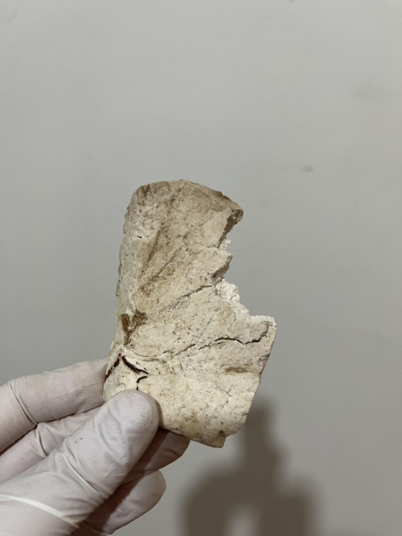 24小时在线服务无添加正品保障新鲜茯苓直供
