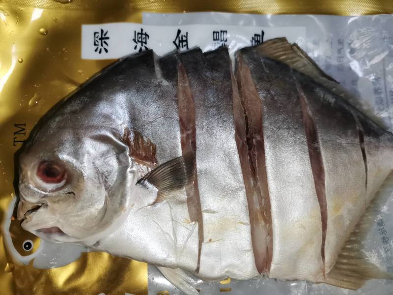 湛江深海金鲳鱼海鱼，肉质Q弹爽口，比户外晒的口感胜一筹