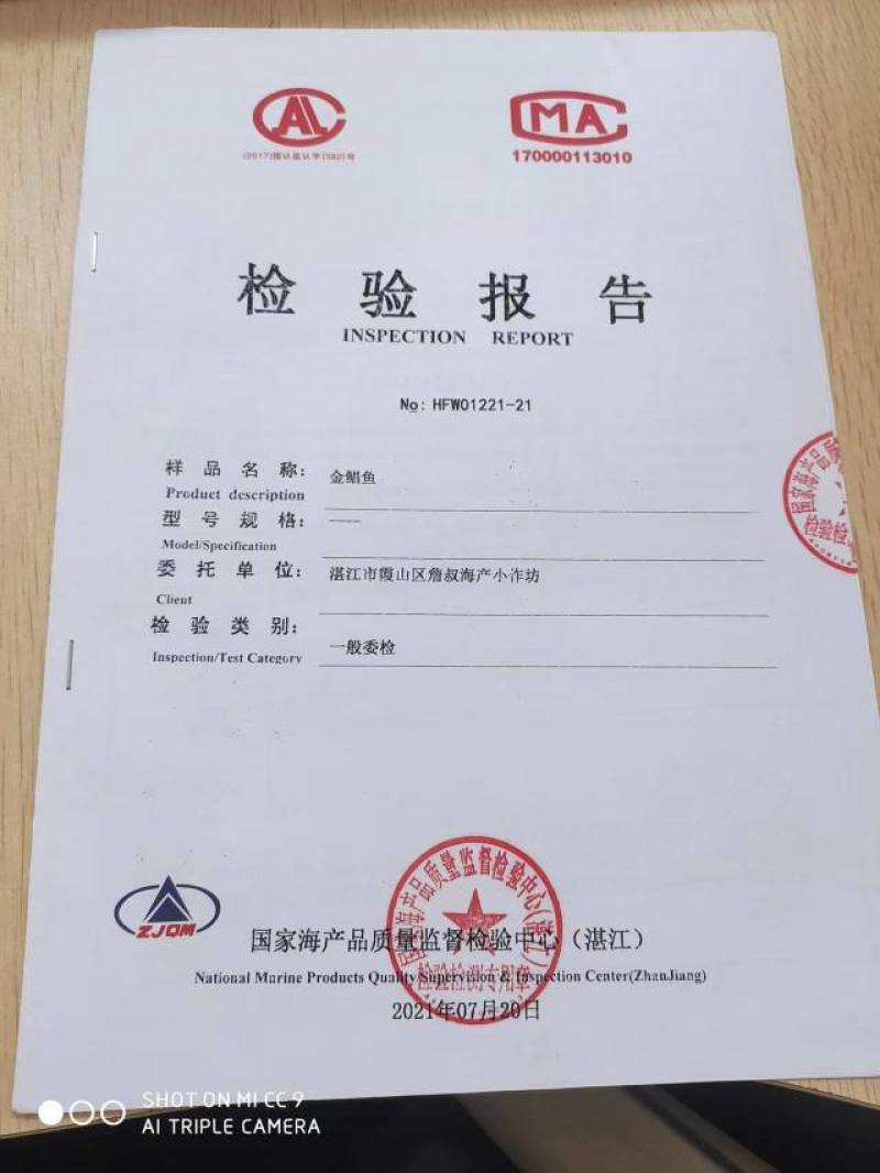 湛江深海金鲳鱼海鱼，肉质Q弹爽口，比户外晒的口感胜一筹