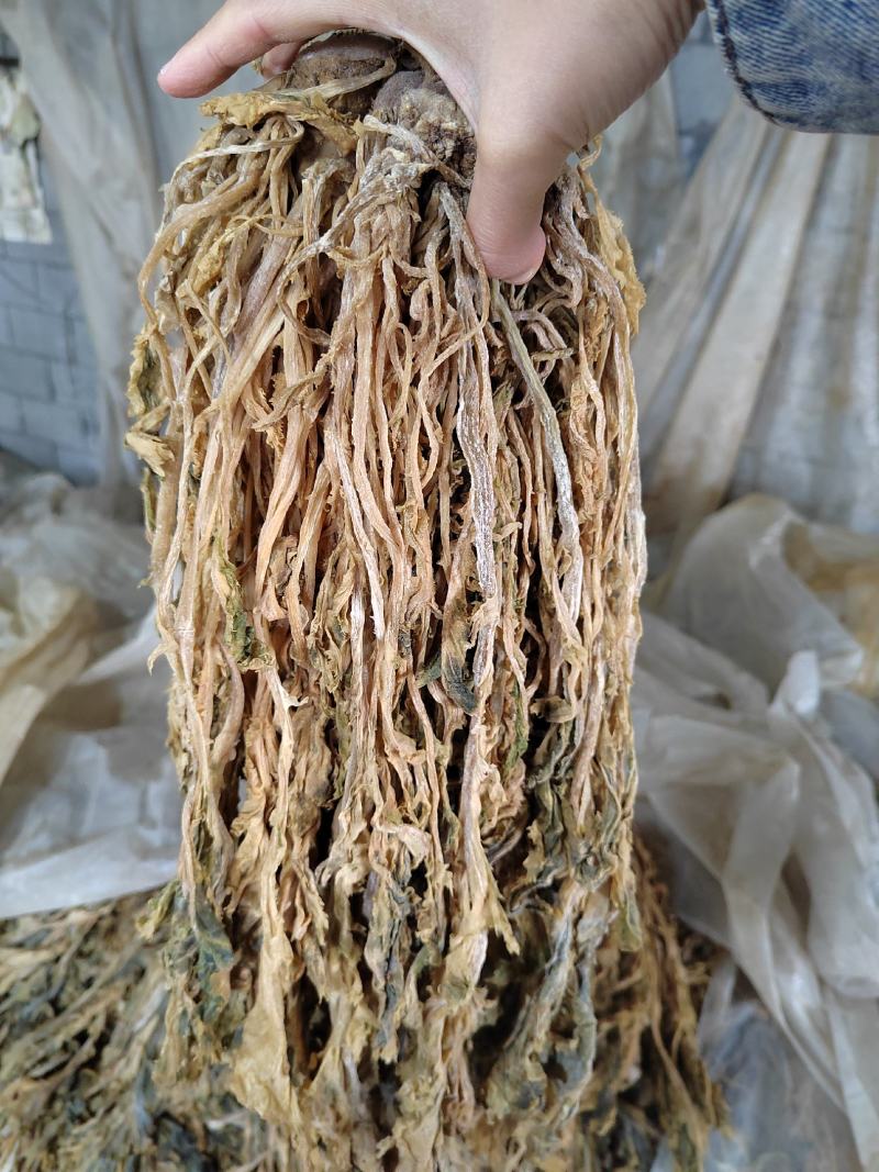 整棵雪里蕻梅干菜2025年陈菜，2026年新菜整棵好清洗