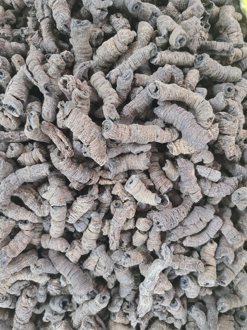 巴戟巴戟天各种规格价廉物美