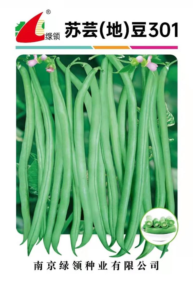 苏芸地豆301四季种子，1000克，嫩荚绿色荚长25厘米