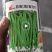 苏芸地豆301四季种子，1000克，嫩荚绿色荚长25厘米