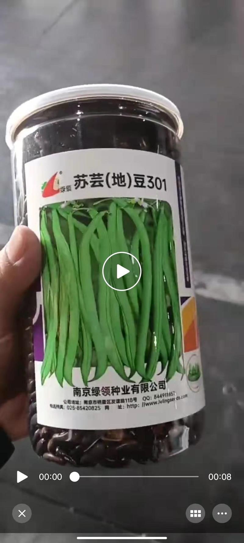 苏芸地豆301四季种子，1000克，嫩荚绿色荚长25厘米