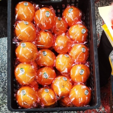 供货7904湖南脐橙基地直供，品质上乘，全国发货
