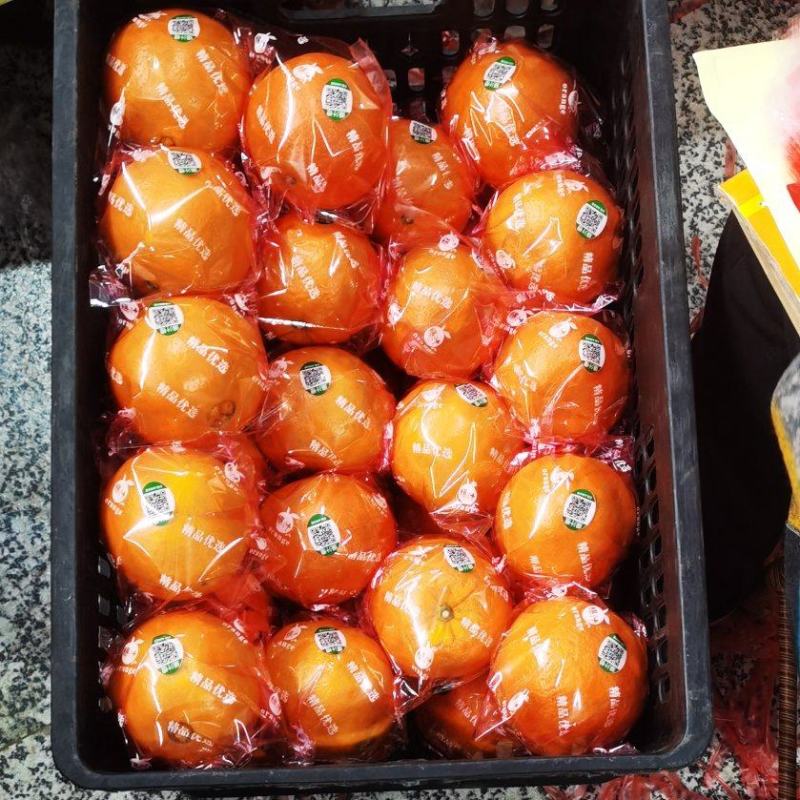 供货7904湖南脐橙基地直供，品质上乘，全国发货