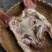咸猪头腊猪头肉带耳朵非烟熏猪脸肉猪头皮农家腊肉猪嘴