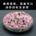 蔬菜面紫薯面南瓜面非油炸方便面饼麻辣烫火锅店菠菜面整箱煮