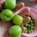 三月李信宜钱排三月李
