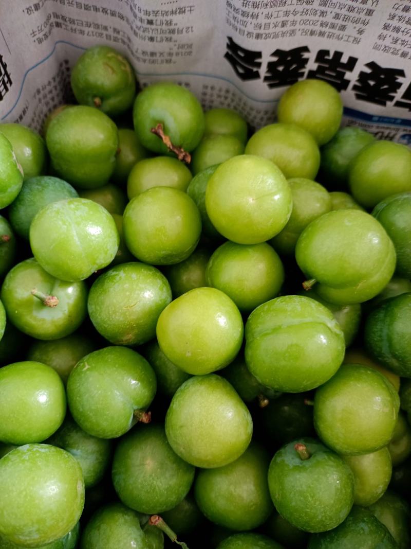 三月李信宜钱排三月李