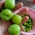 三月李信宜钱排三月李