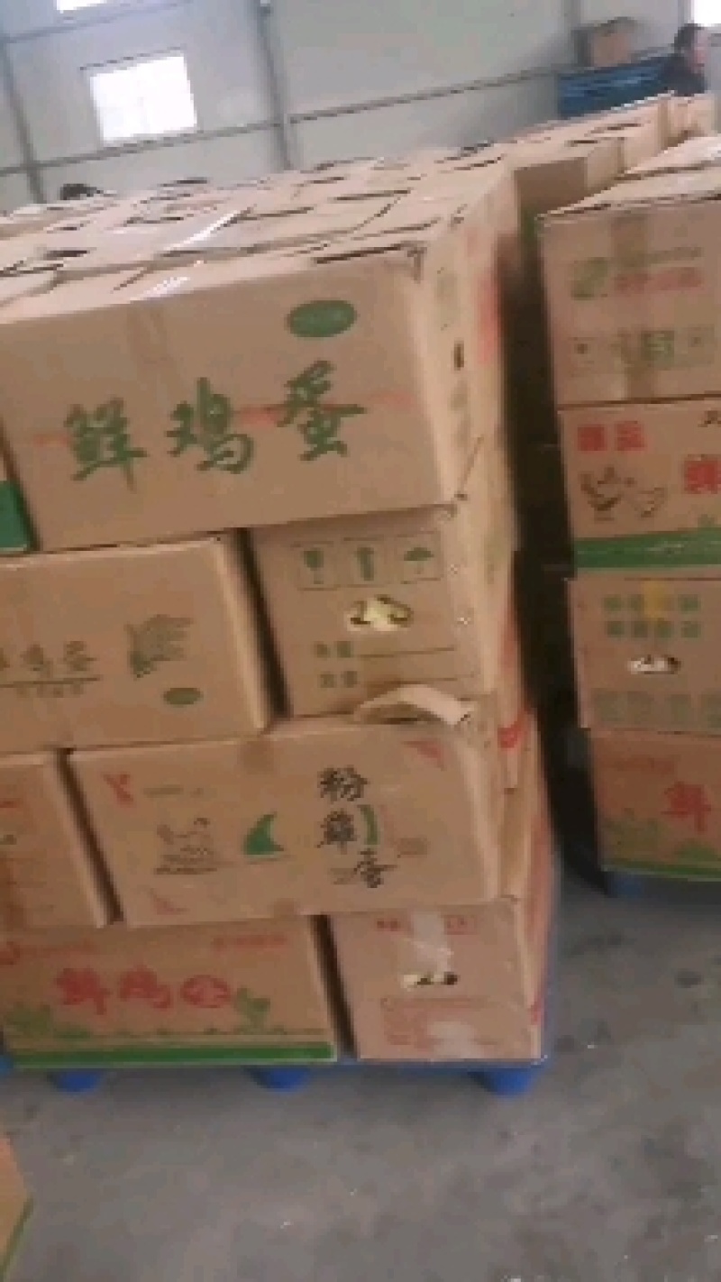 箱装筐装红鸡蛋褐壳360枚一箱净重43-45每天500件