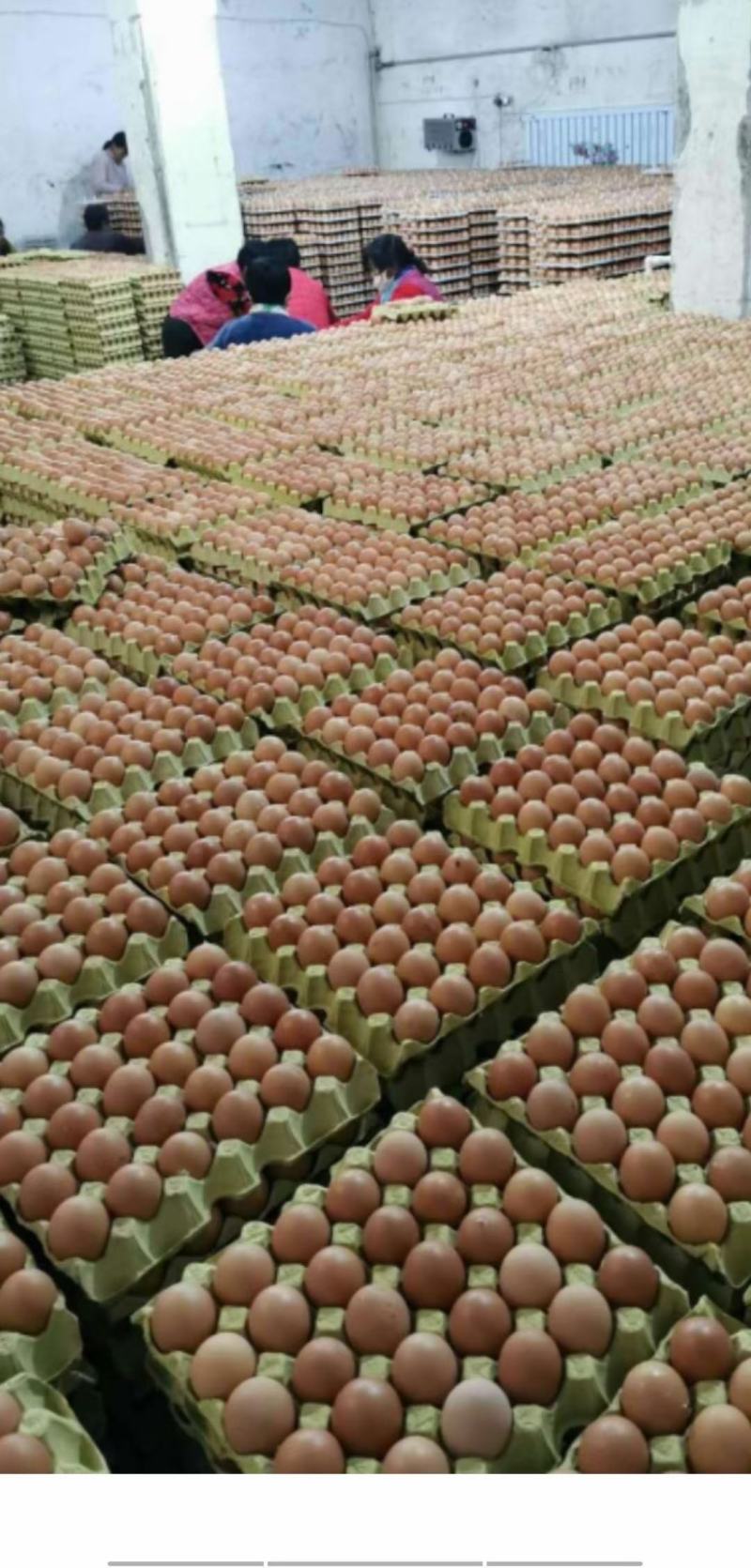 批发市场鸡蛋一箱多少个啊