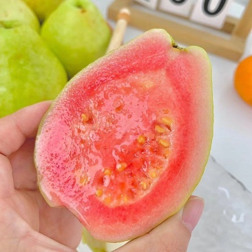 福建西瓜红红心软芭乐番石榴支持一件代发视频看货