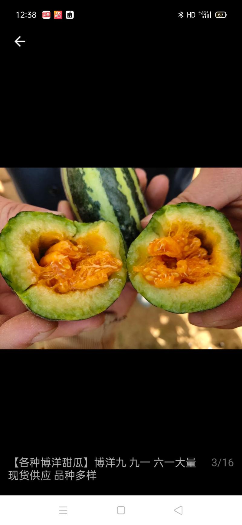 博洋九博洋六一大量上市