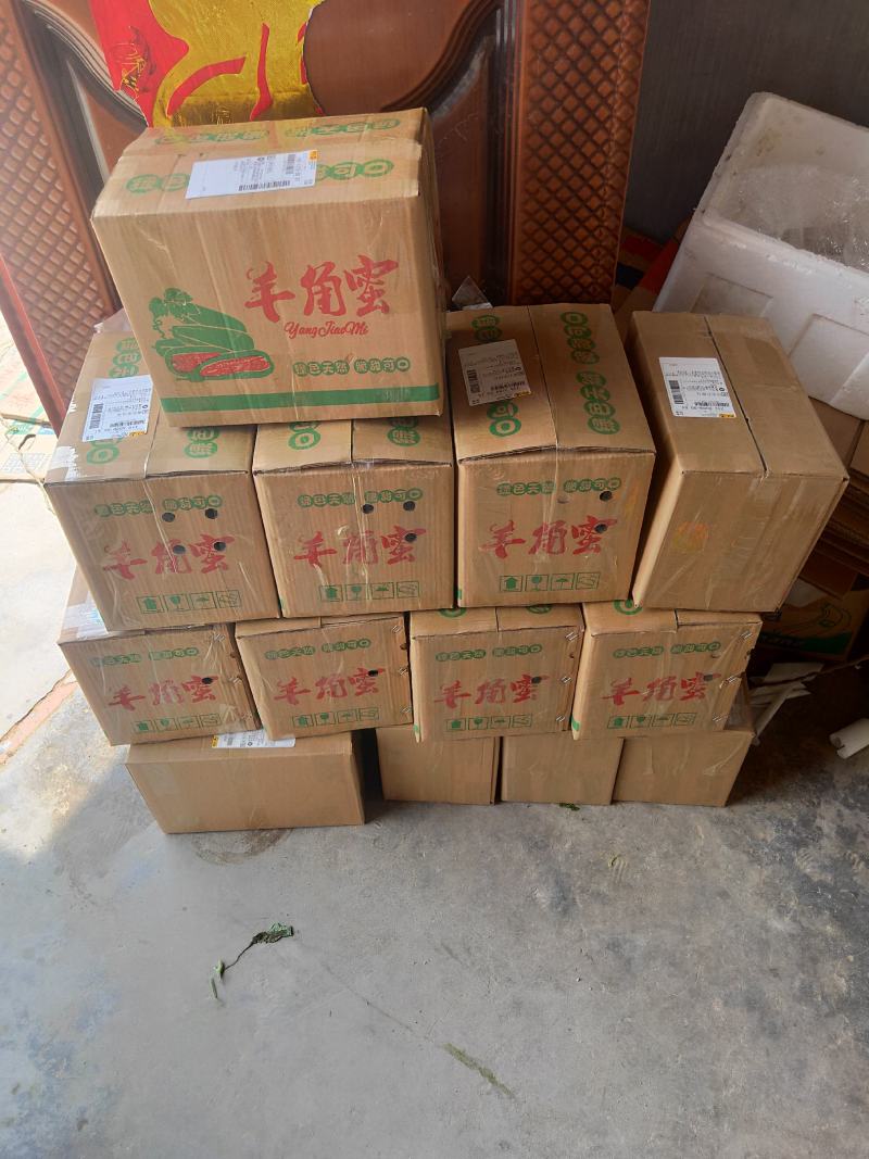 山东头茬羊角蜜电商商超合作一手货源质量保证