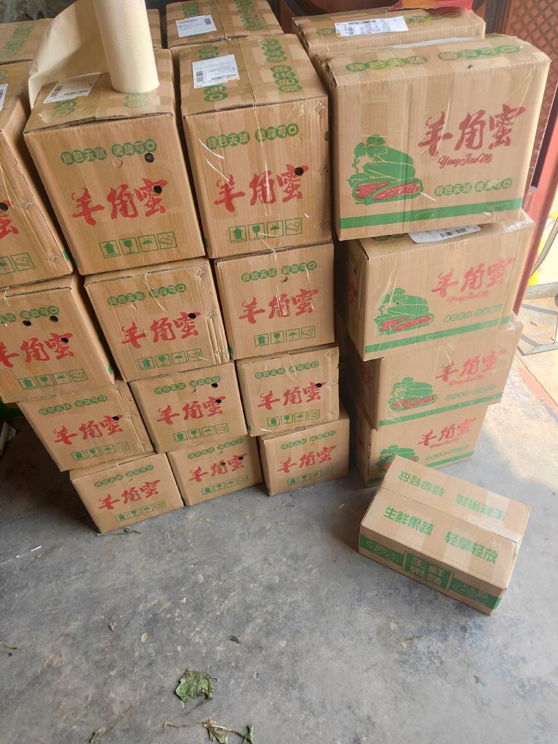 山东头茬羊角蜜电商商超合作一手货源质量保证