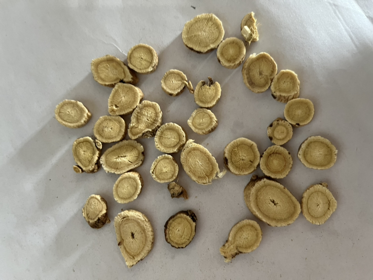 红景天与黄芪药材图