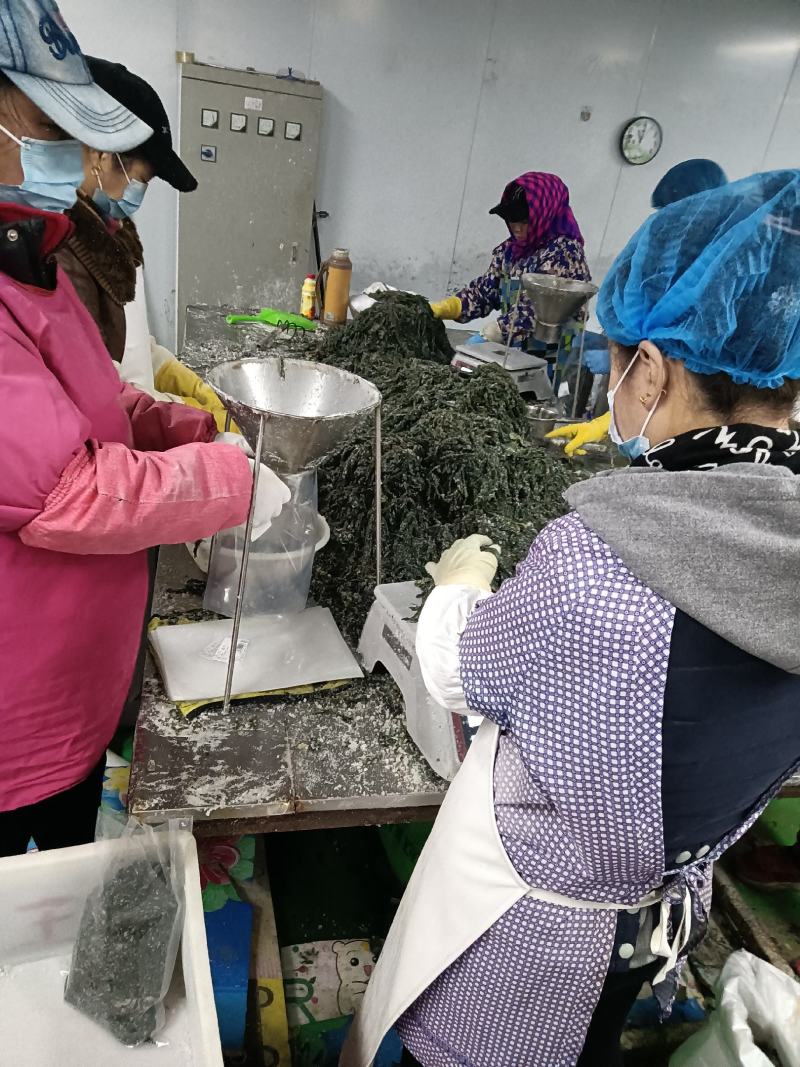 大连特产：裙带菜，社区团购爆品，各大农贸批发市场