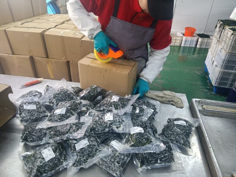 大连特产：裙带菜，社区团购爆品，各大农贸批发市场