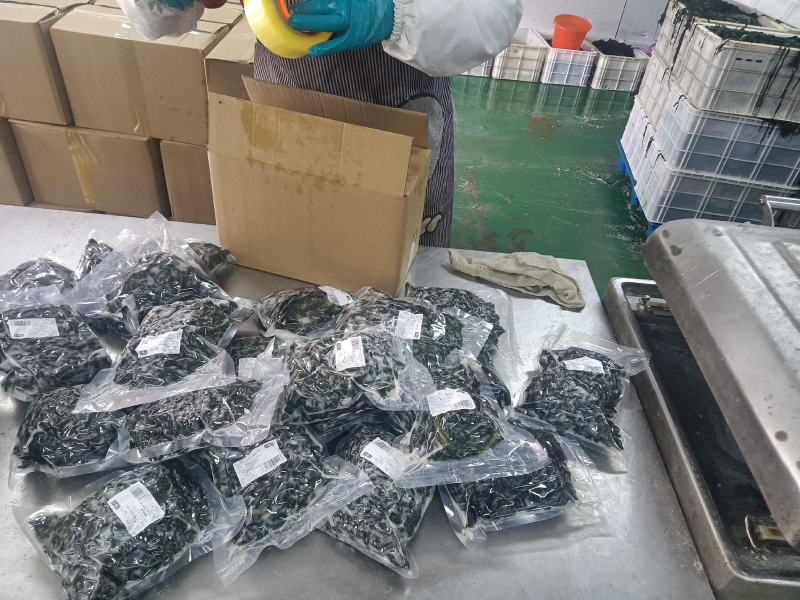 大连特产：裙带菜，社区团购爆品，各大农贸批发市场