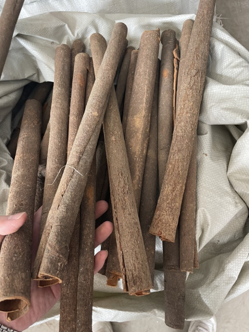 【广西】桂皮刮皮桂水洗通烟桂精选桂段产地发货