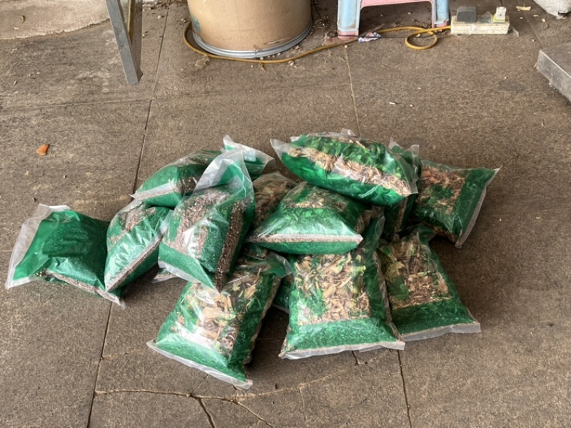 当归甘肃珉县当归头片味浓醇香品质保证货源充足