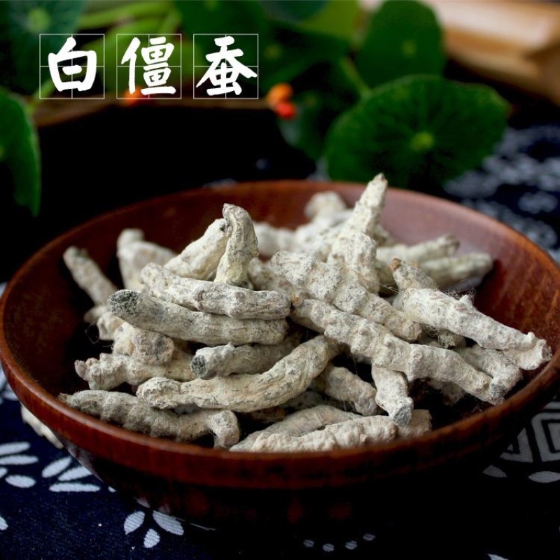 僵蚕无硫白僵蚕品质保证无死蚕产地直销