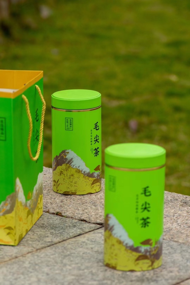 2025新茶信阳特产毛尖花香粟香花果香全芽500g代发