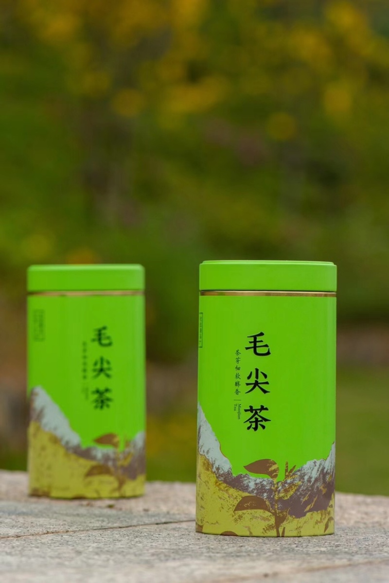 2025新茶信阳特产毛尖花香粟香花果香全芽500g代发