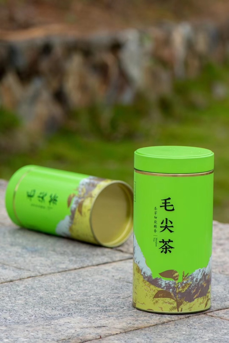 2025新茶信阳特产毛尖花香粟香花果香全芽500g代发